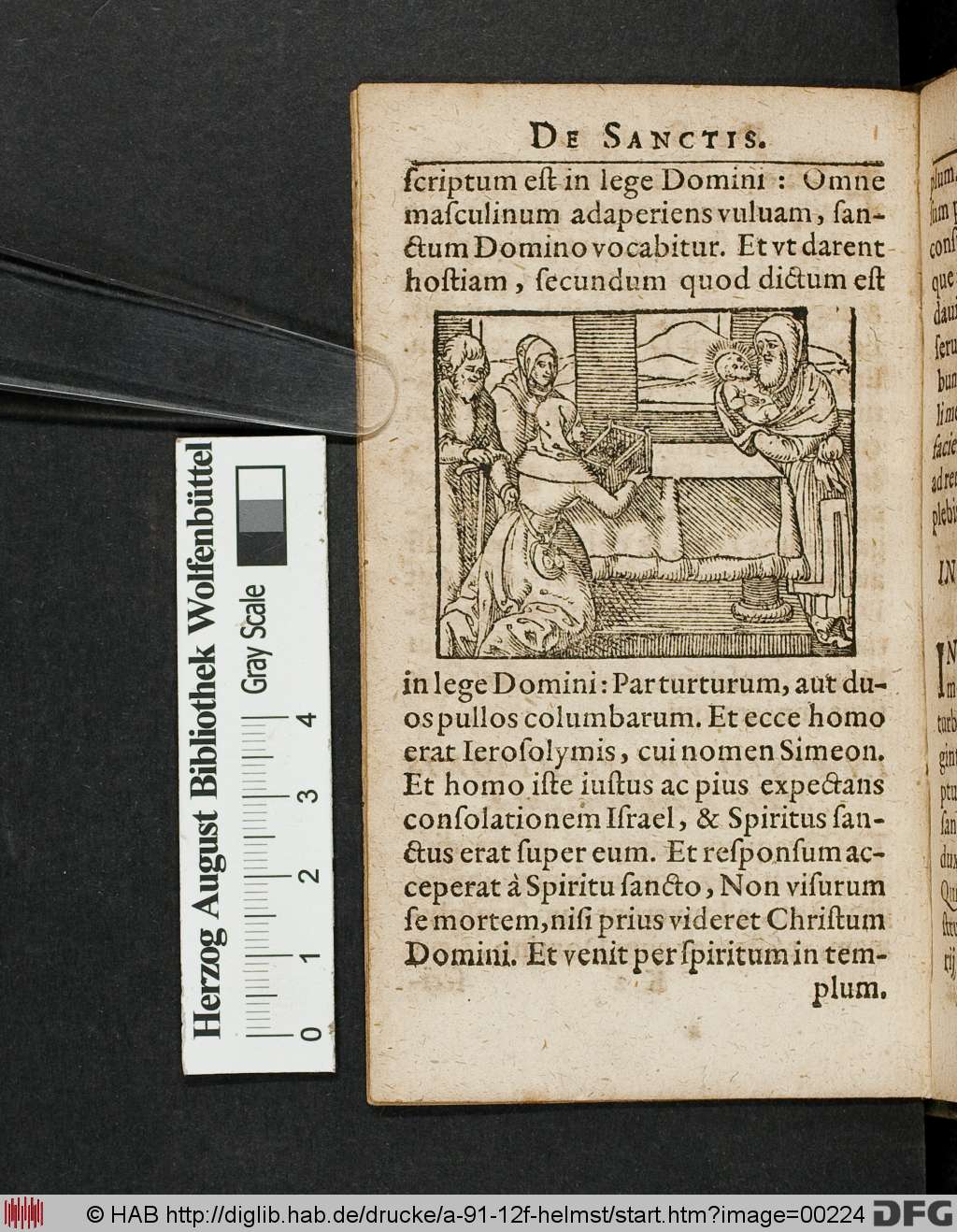 http://diglib.hab.de/drucke/a-91-12f-helmst/00224.jpg