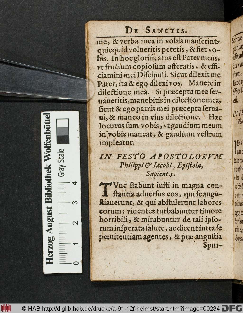 http://diglib.hab.de/drucke/a-91-12f-helmst/00234.jpg