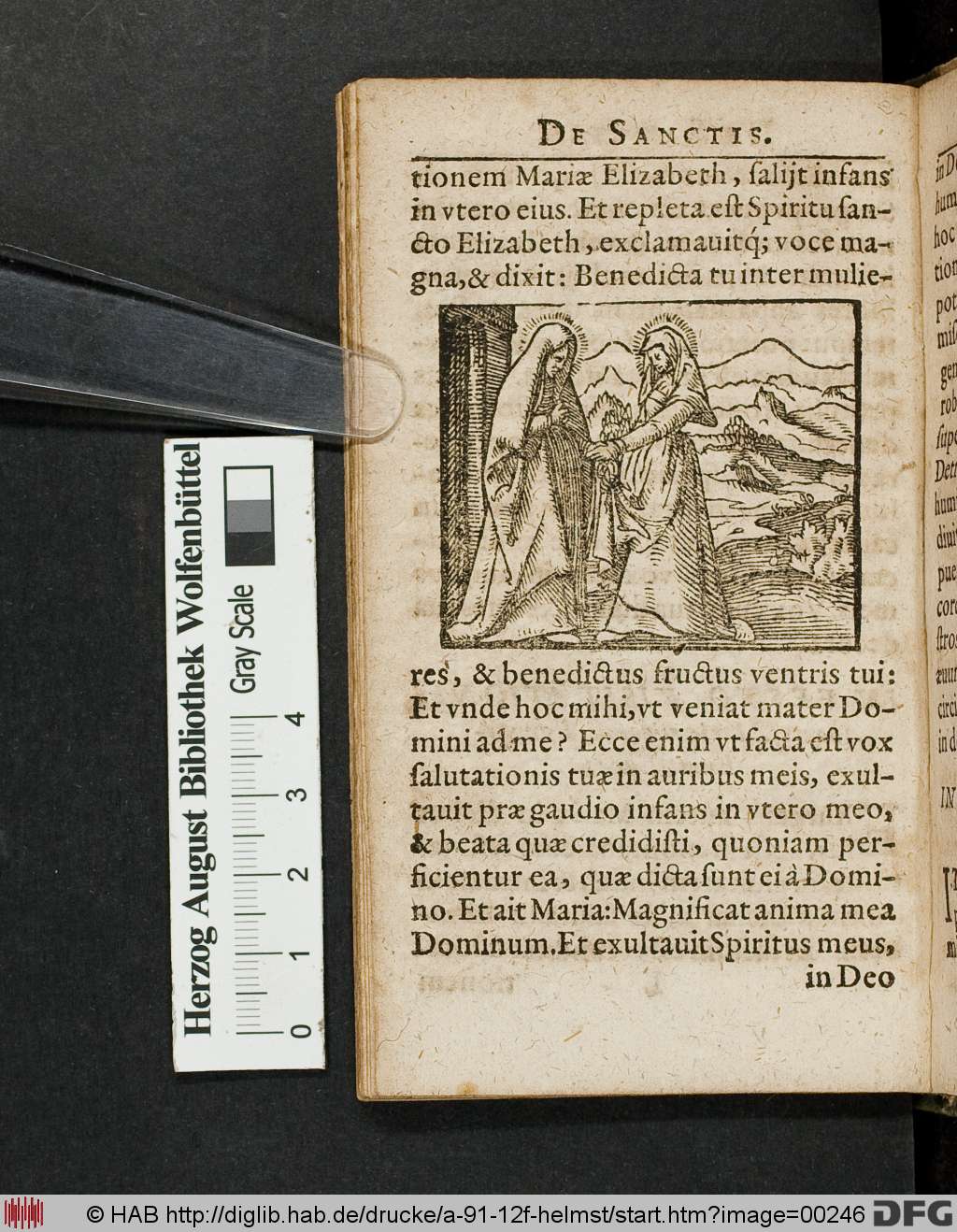 http://diglib.hab.de/drucke/a-91-12f-helmst/00246.jpg