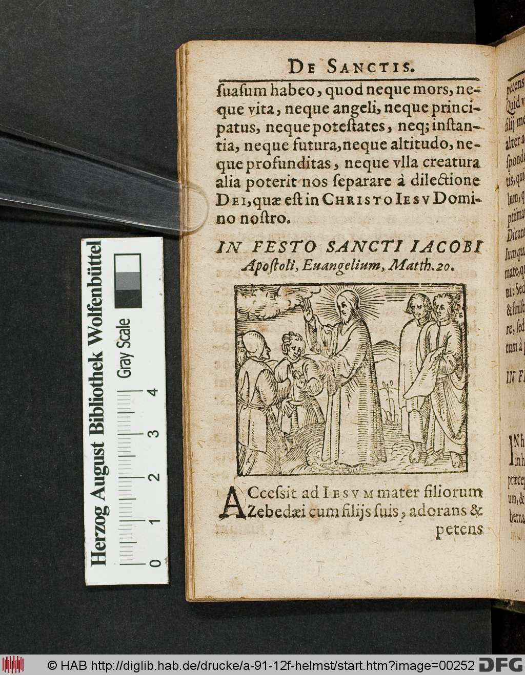 http://diglib.hab.de/drucke/a-91-12f-helmst/00252.jpg