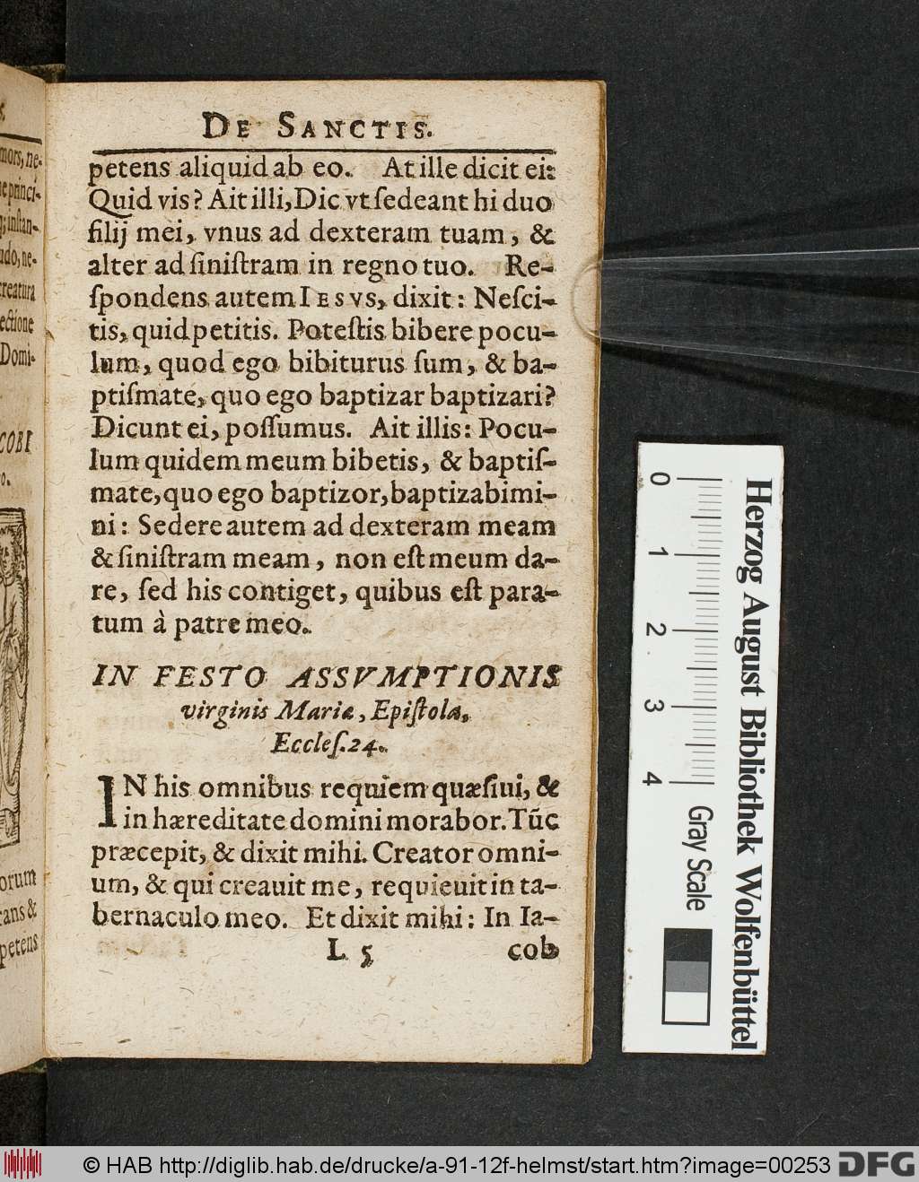 http://diglib.hab.de/drucke/a-91-12f-helmst/00253.jpg