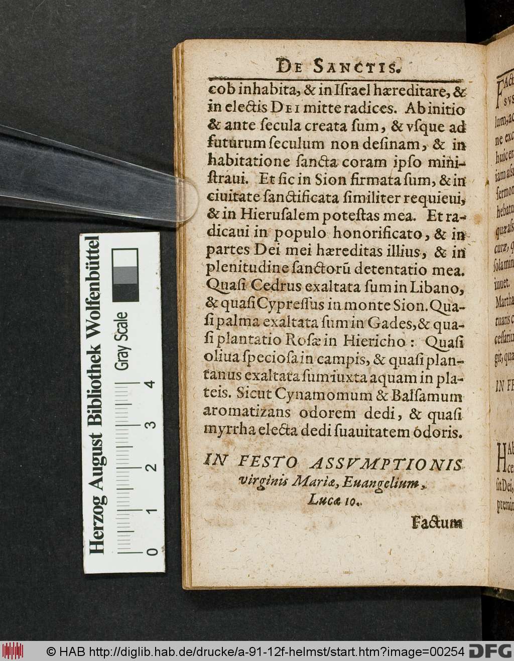 http://diglib.hab.de/drucke/a-91-12f-helmst/00254.jpg