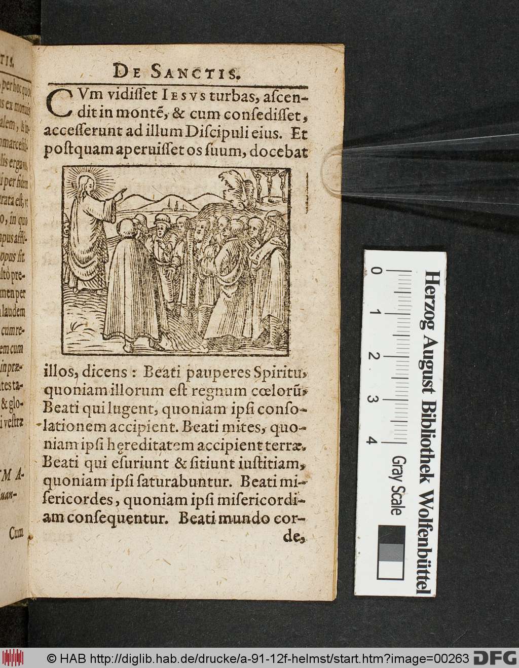 http://diglib.hab.de/drucke/a-91-12f-helmst/00263.jpg