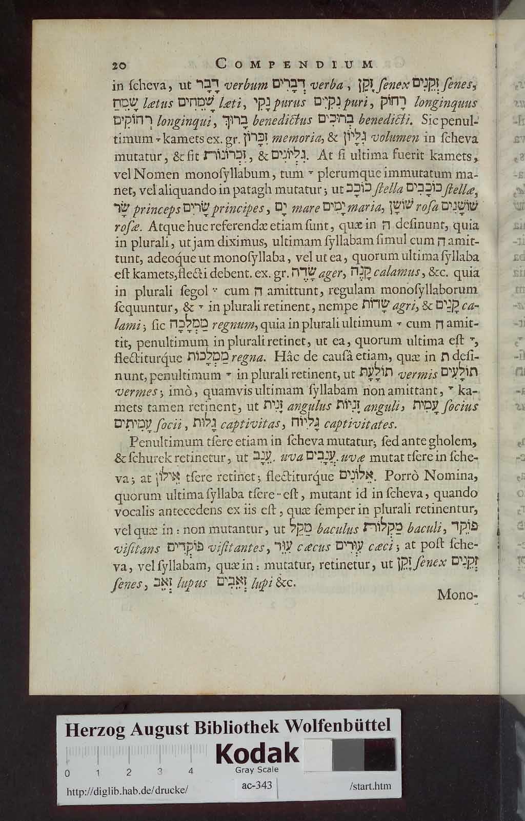 http://diglib.hab.de/drucke/ac-343/00716.jpg