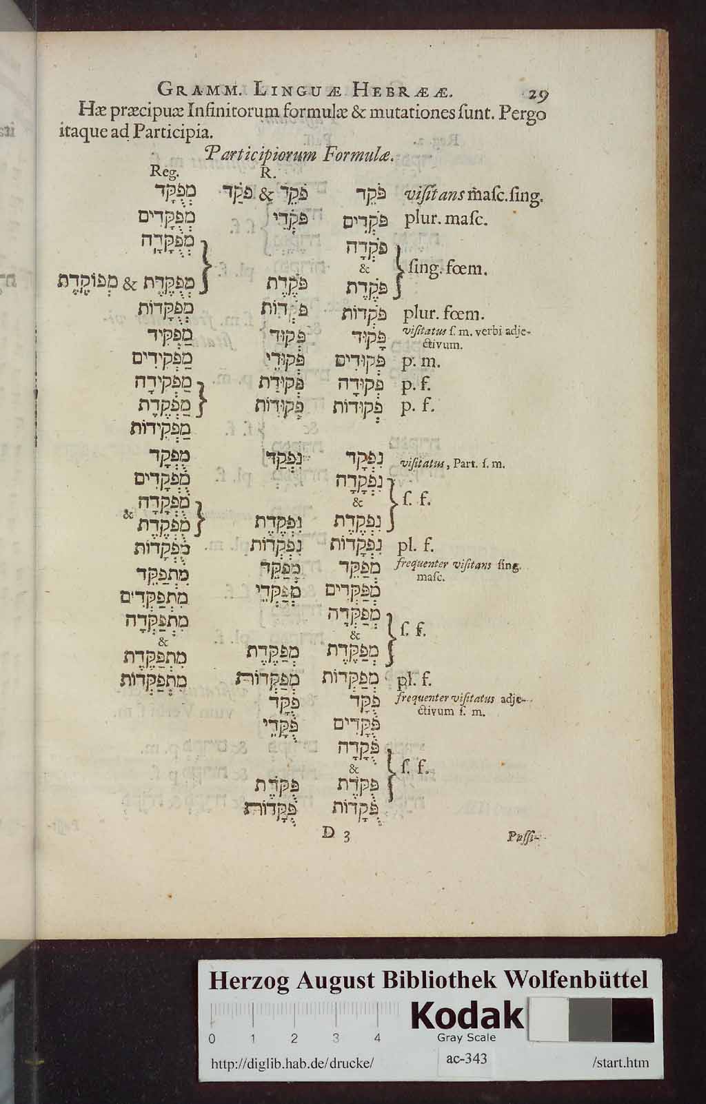 http://diglib.hab.de/drucke/ac-343/00725.jpg