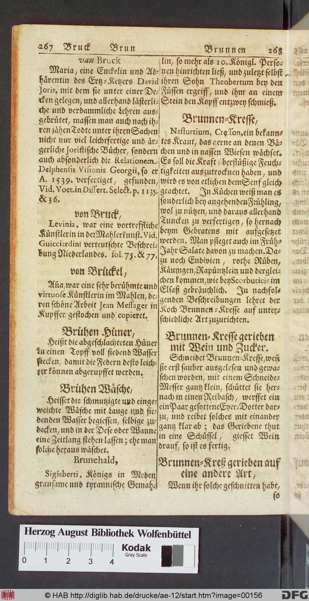 http://diglib.hab.de/drucke/ae-12/00156.jpg