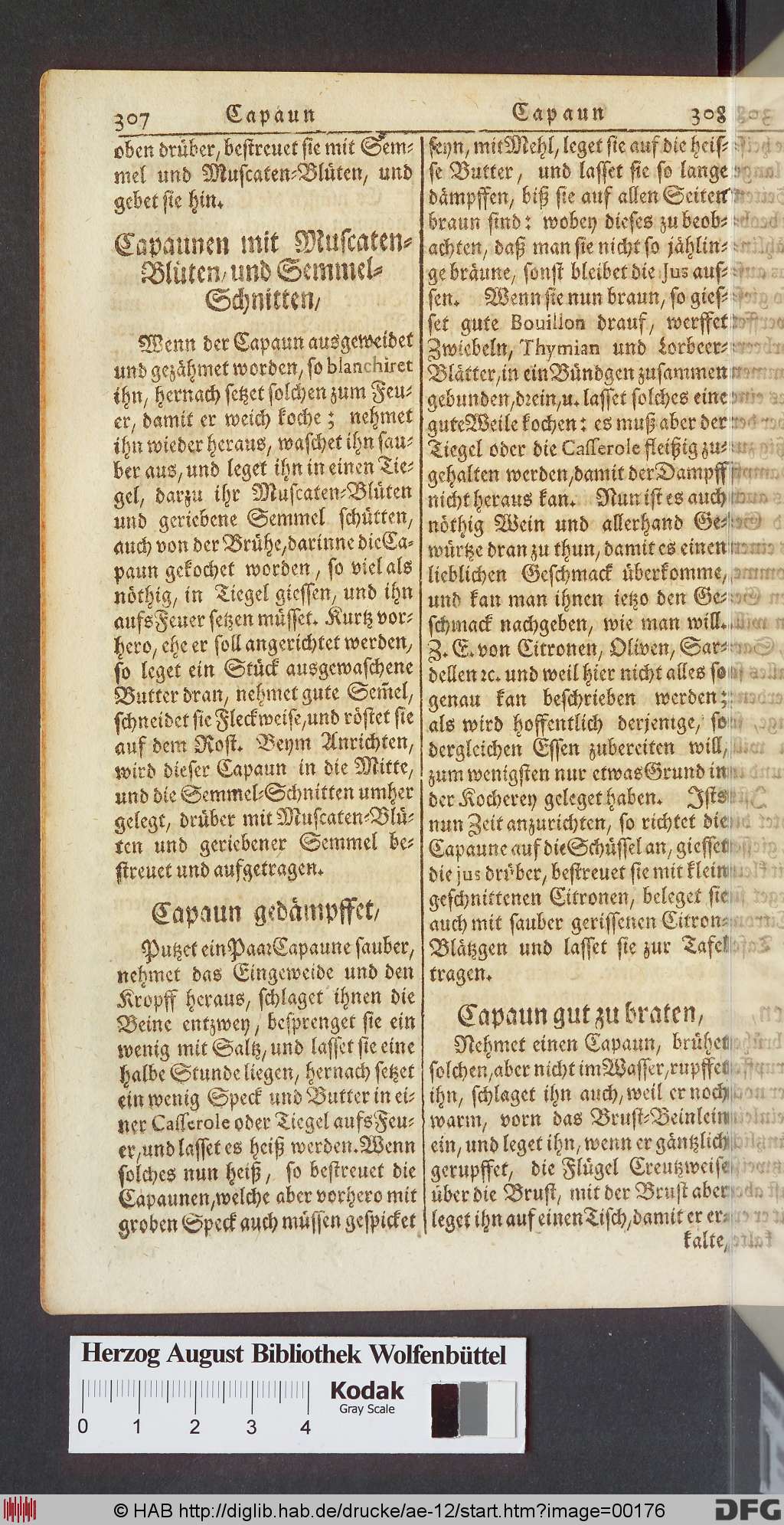 http://diglib.hab.de/drucke/ae-12/00176.jpg