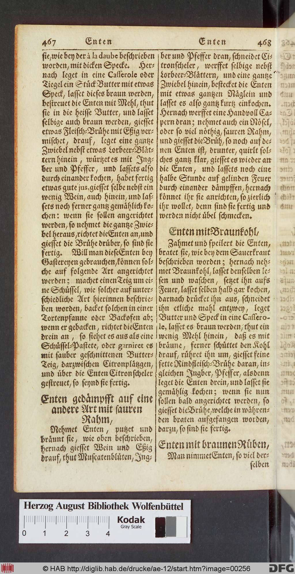 http://diglib.hab.de/drucke/ae-12/00256.jpg