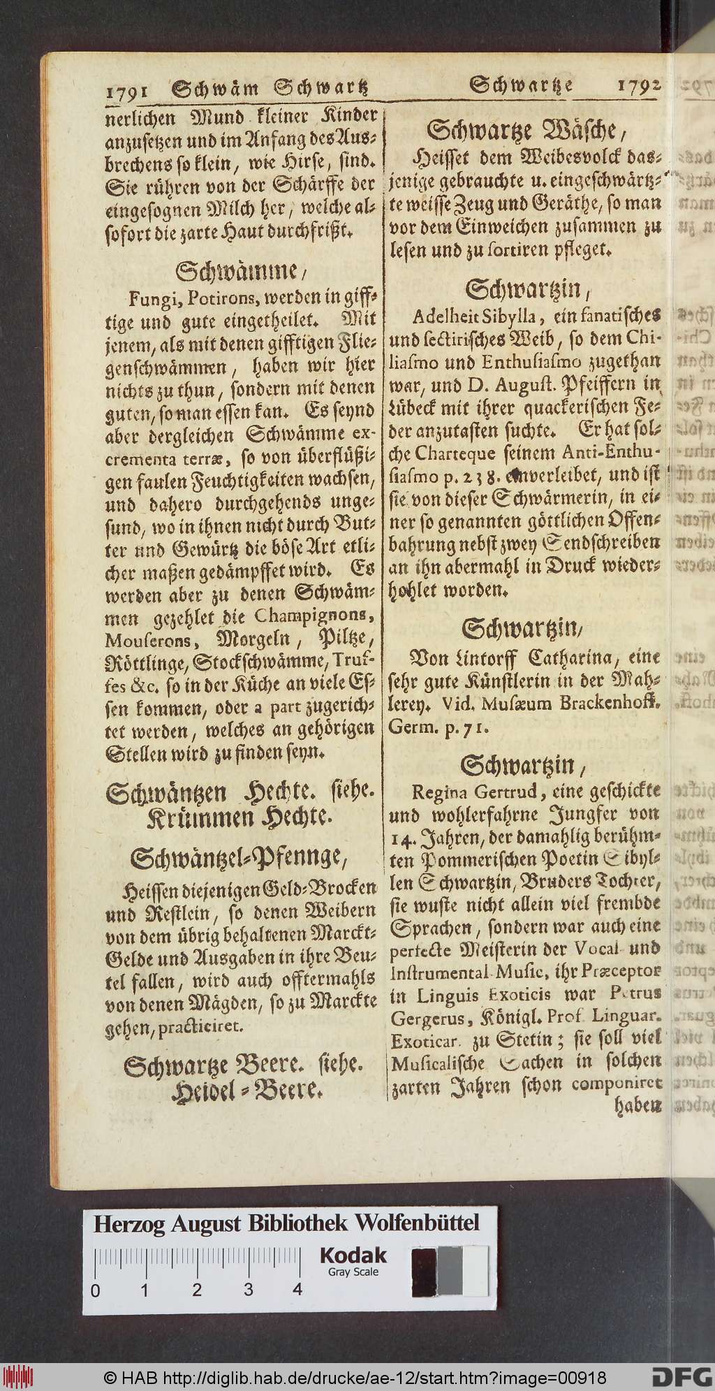 http://diglib.hab.de/drucke/ae-12/00918.jpg