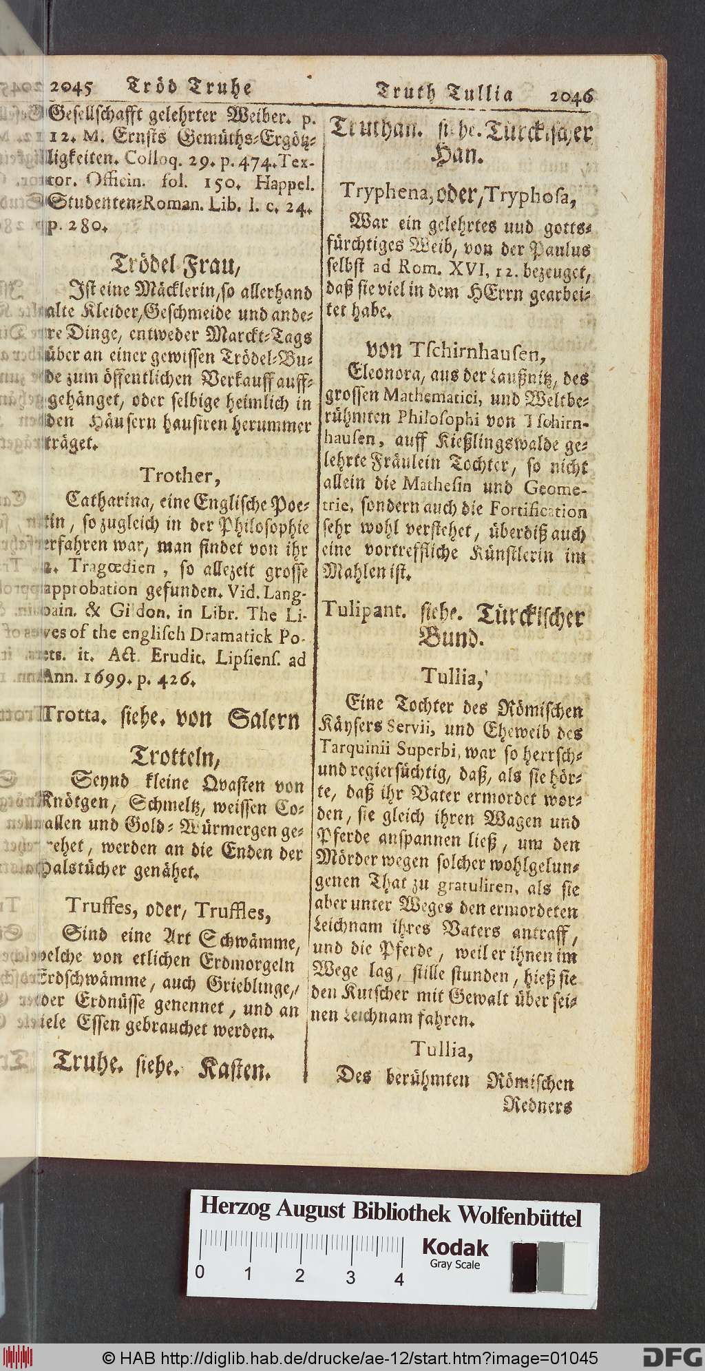 http://diglib.hab.de/drucke/ae-12/01045.jpg