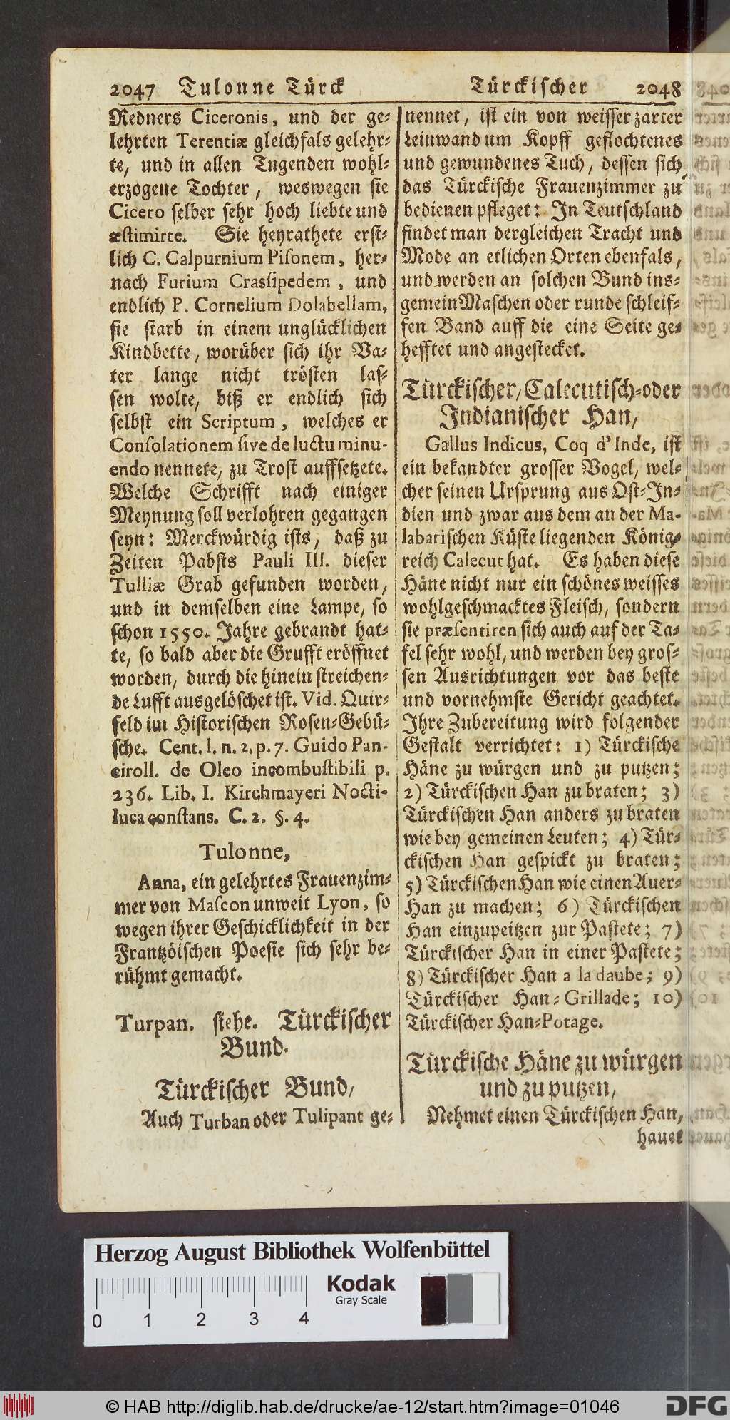 http://diglib.hab.de/drucke/ae-12/01046.jpg