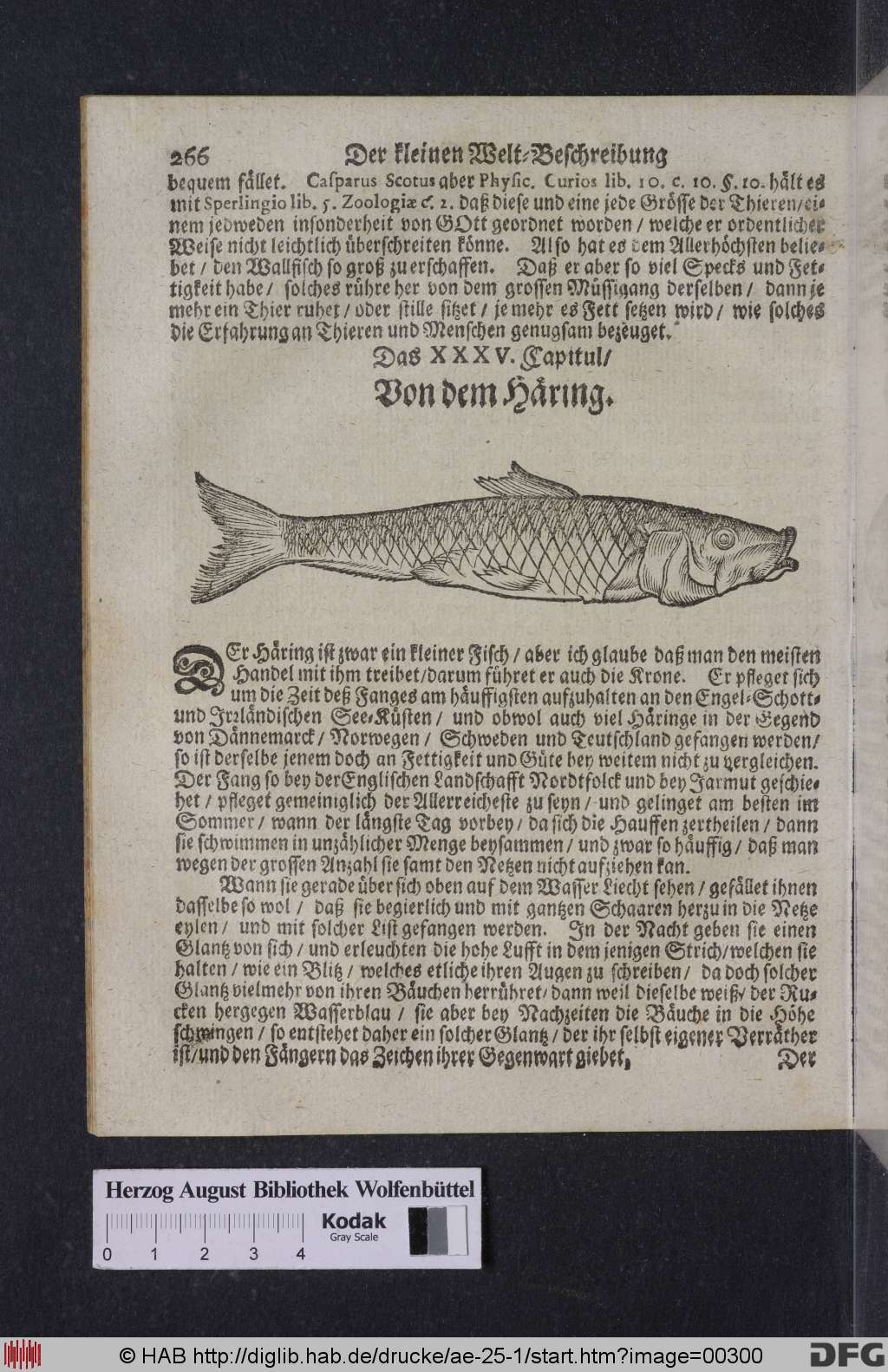http://diglib.hab.de/drucke/ae-25-1/00300.jpg