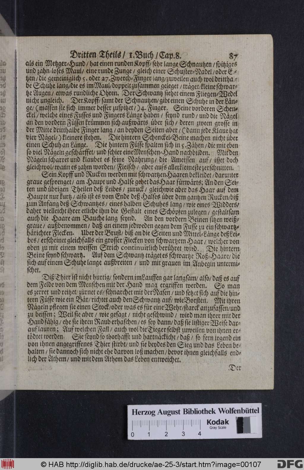 http://diglib.hab.de/drucke/ae-25-3/00107.jpg