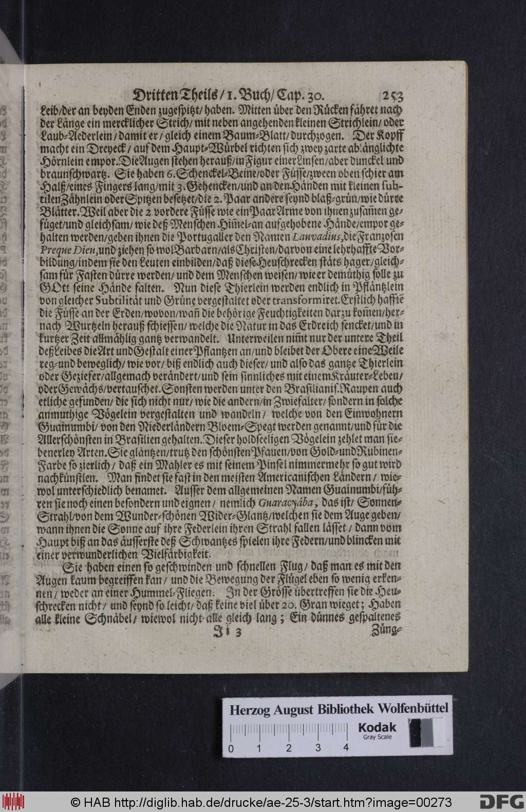 http://diglib.hab.de/drucke/ae-25-3/00273.jpg