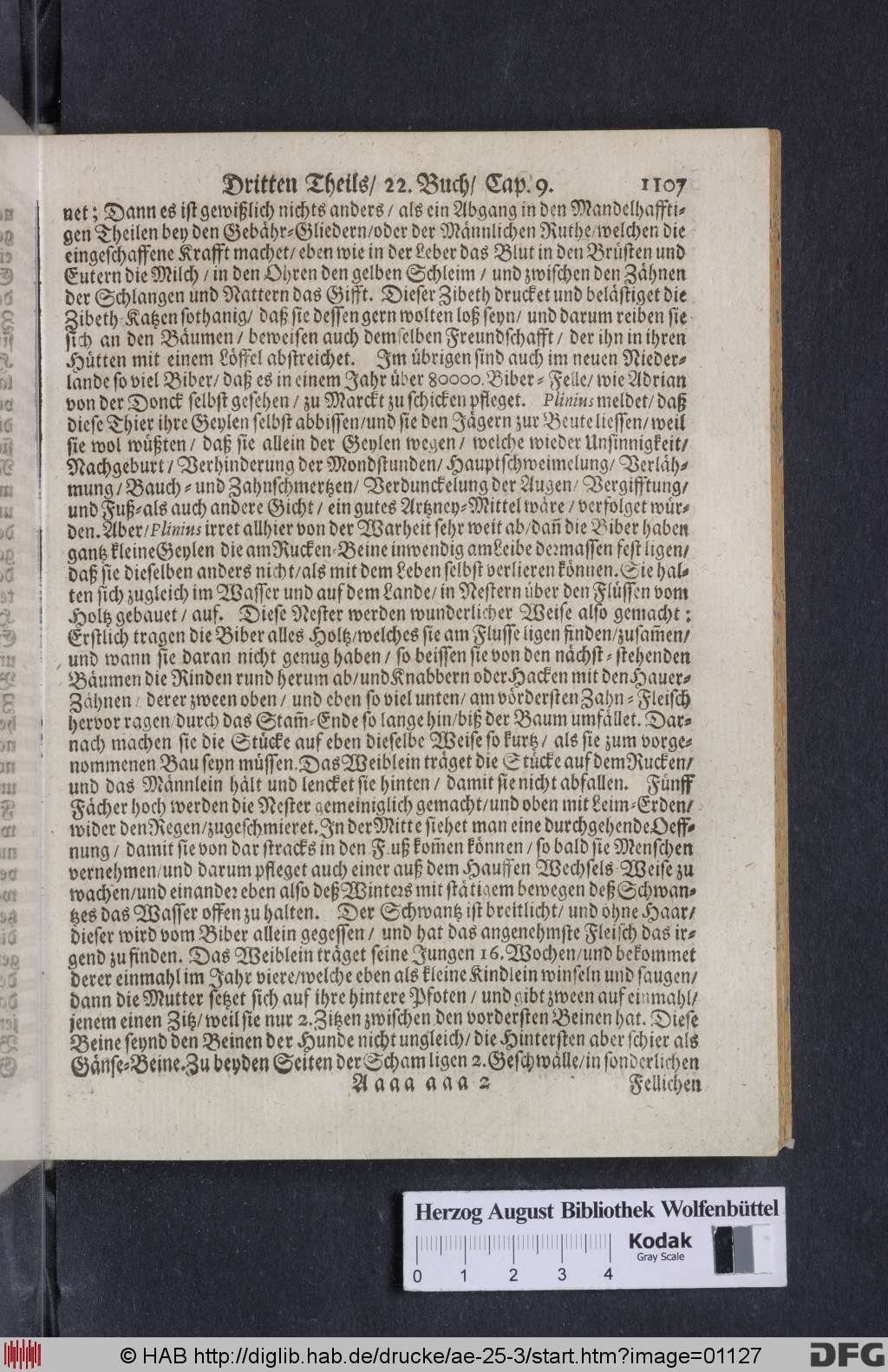 http://diglib.hab.de/drucke/ae-25-3/01127.jpg