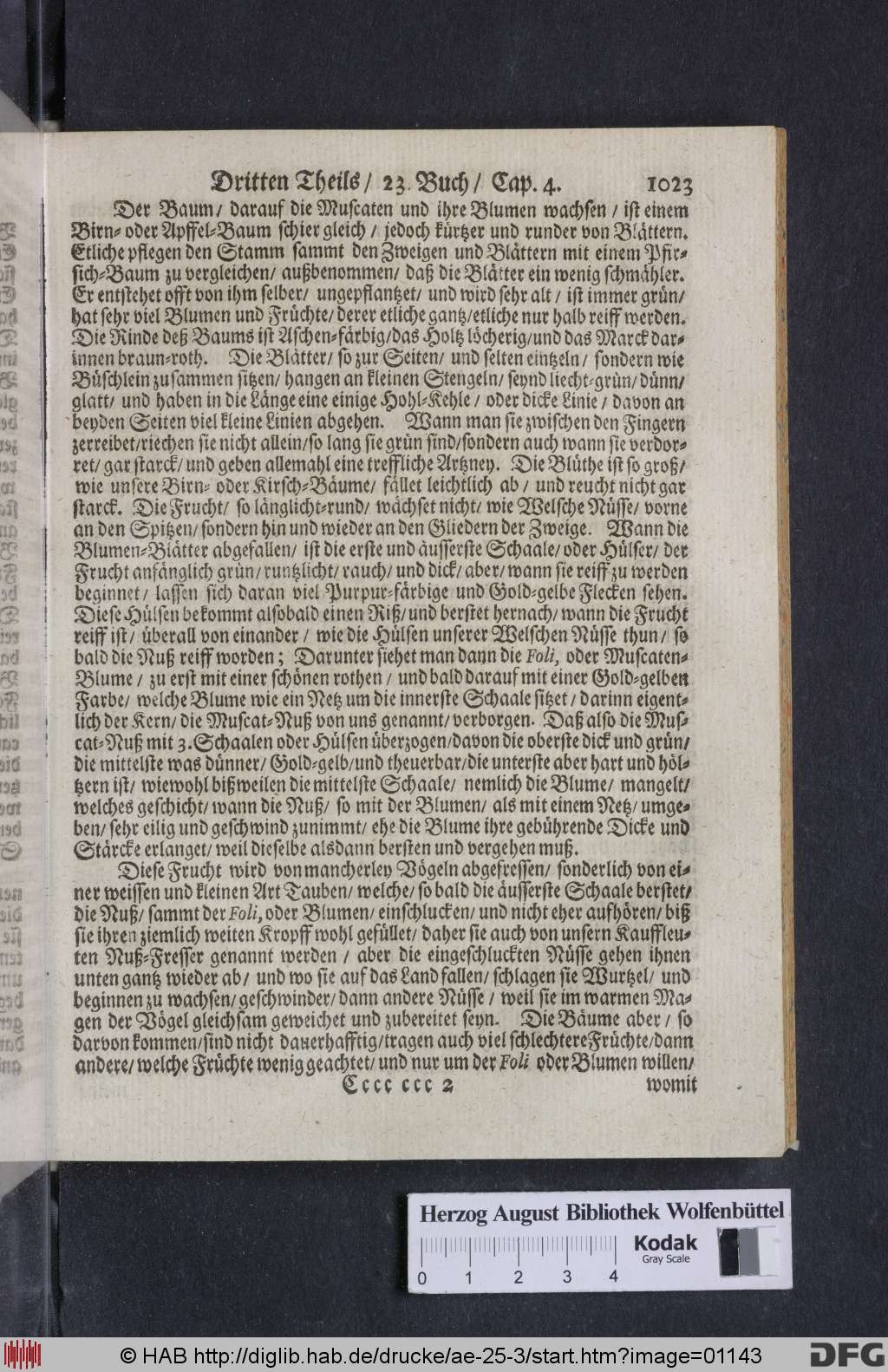 http://diglib.hab.de/drucke/ae-25-3/01143.jpg