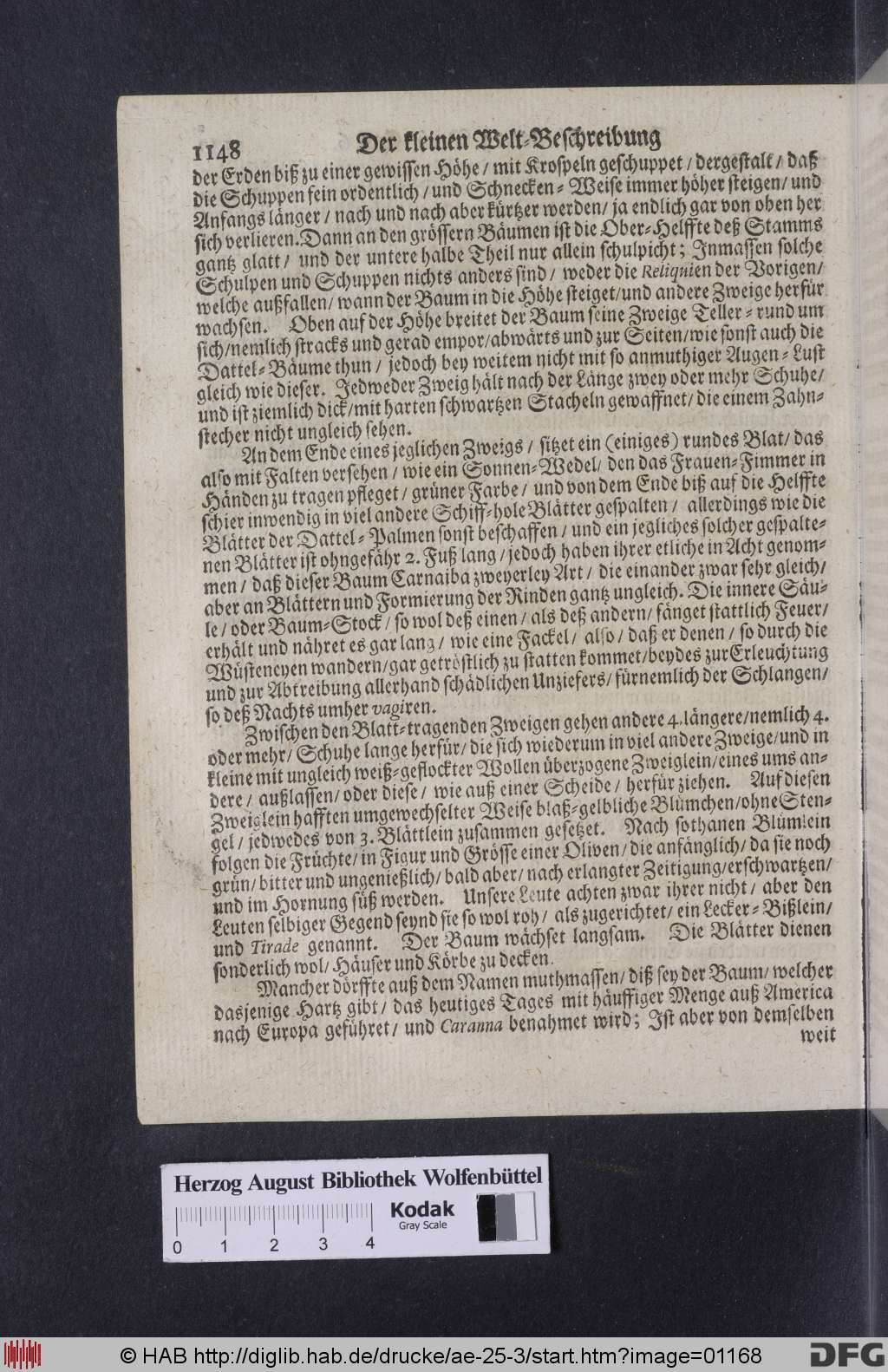 http://diglib.hab.de/drucke/ae-25-3/01168.jpg