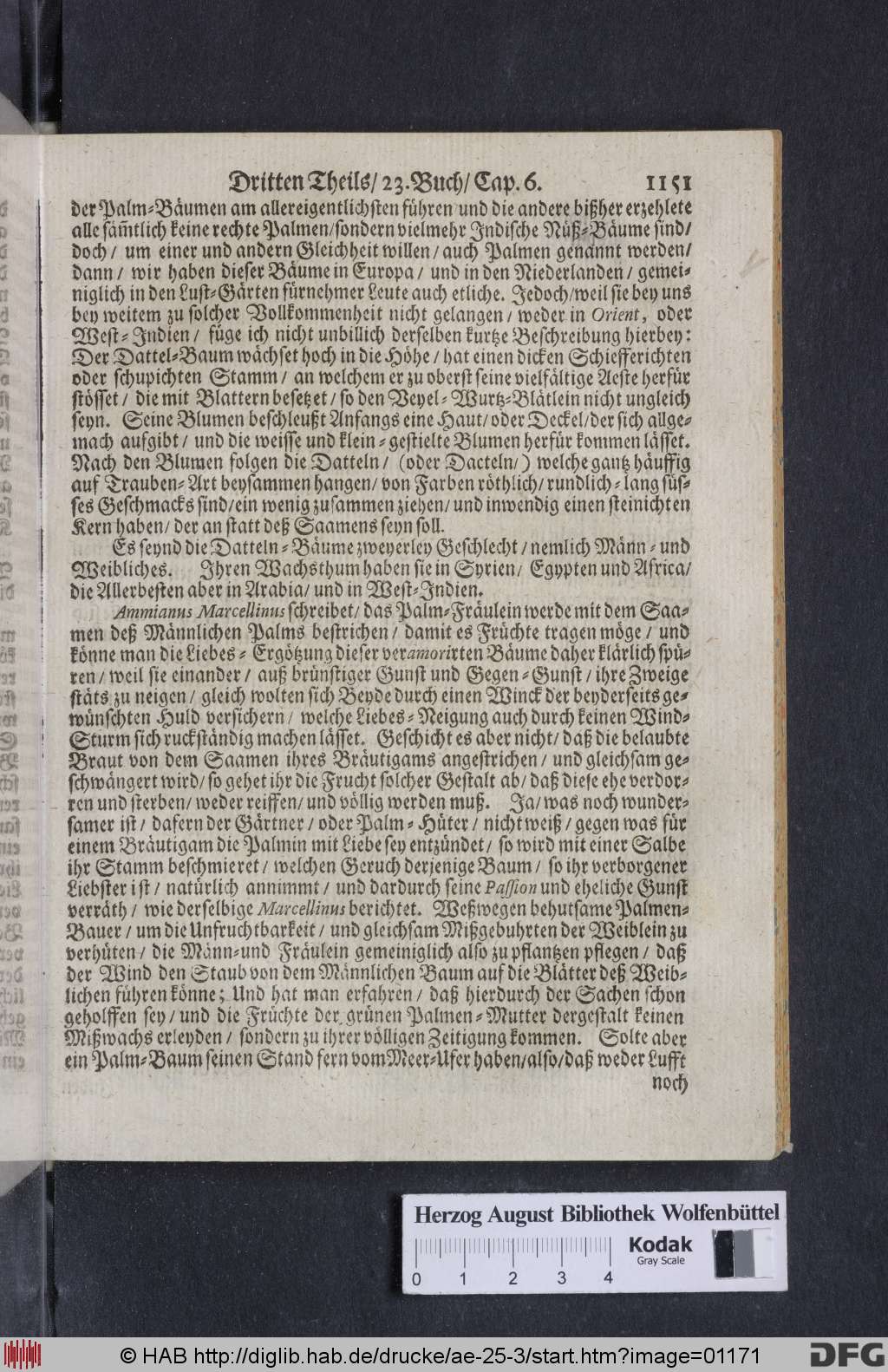 http://diglib.hab.de/drucke/ae-25-3/01171.jpg