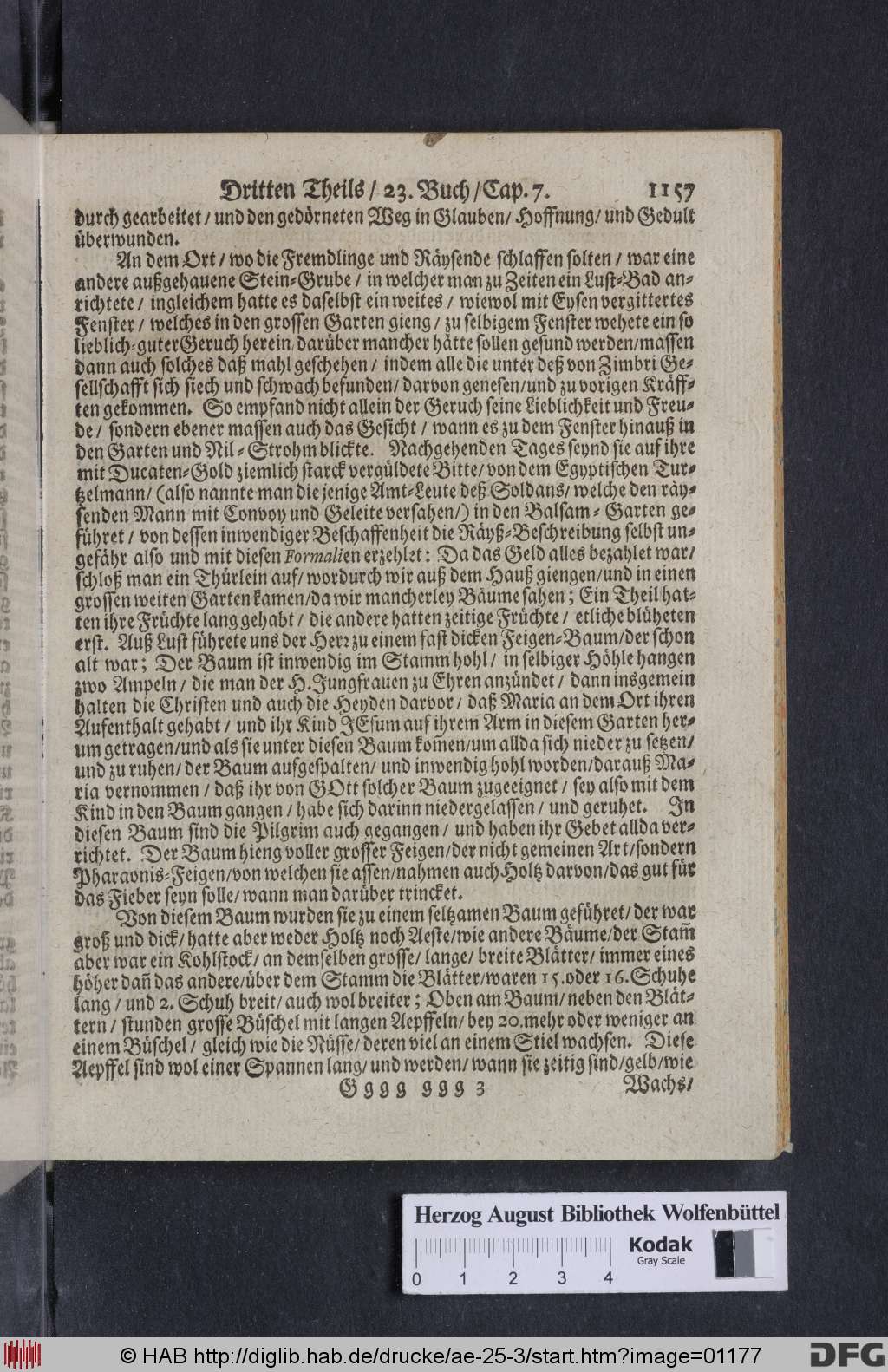 http://diglib.hab.de/drucke/ae-25-3/01177.jpg