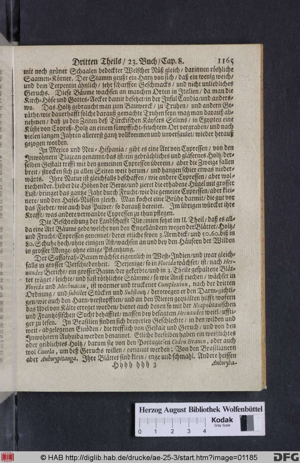 http://diglib.hab.de/drucke/ae-25-3/01185.jpg