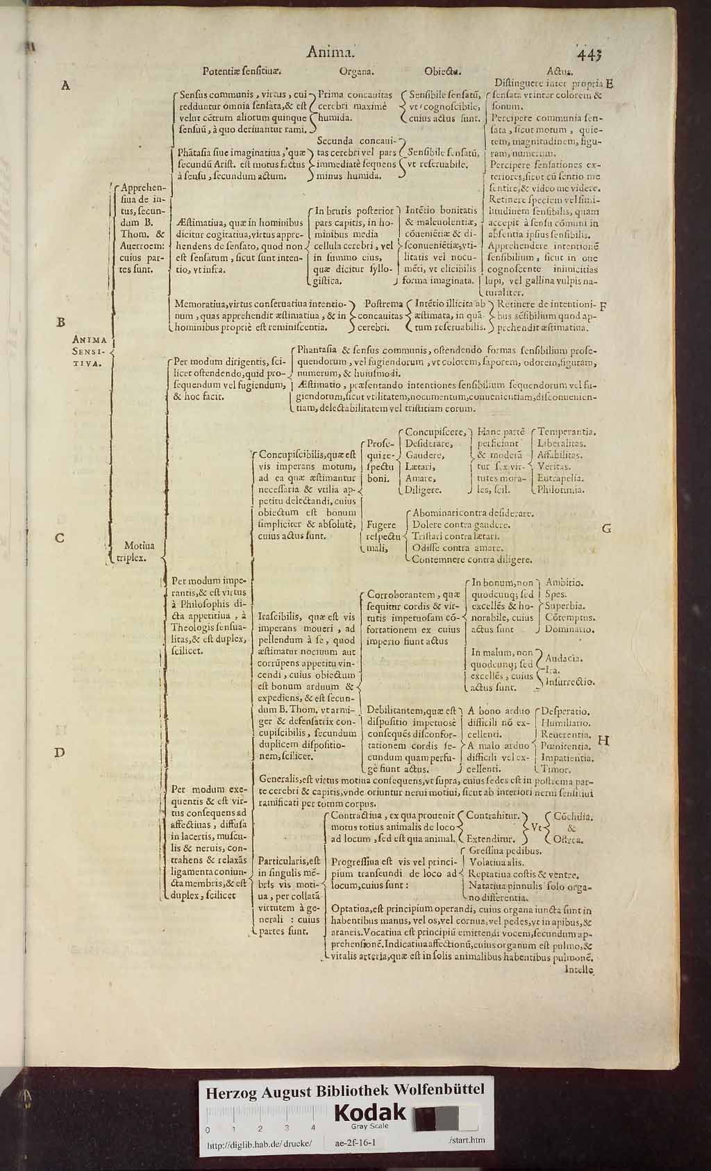 http://diglib.hab.de/drucke/ae-2f-16-1/00481.jpg