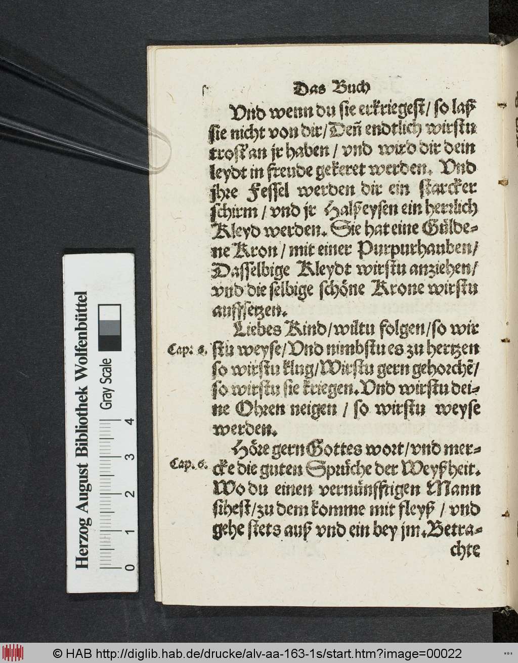 http://diglib.hab.de/drucke/alv-aa-163-1s/00022.jpg