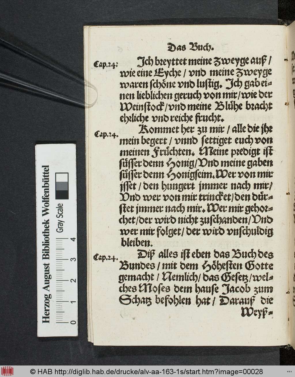 http://diglib.hab.de/drucke/alv-aa-163-1s/00028.jpg