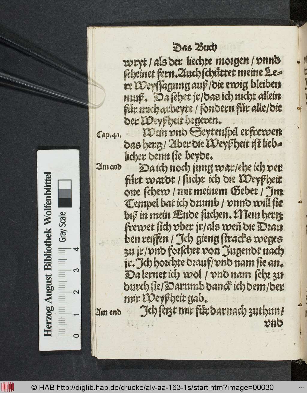 http://diglib.hab.de/drucke/alv-aa-163-1s/00030.jpg
