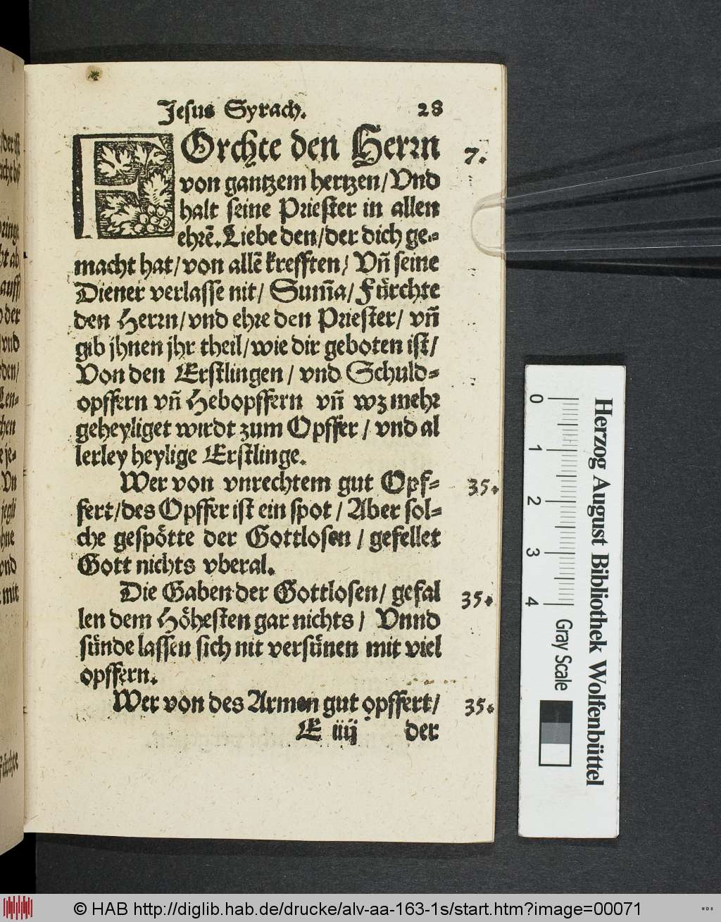 http://diglib.hab.de/drucke/alv-aa-163-1s/00071.jpg