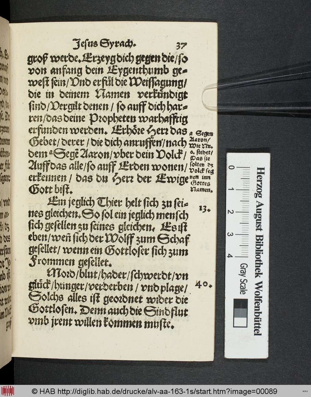 http://diglib.hab.de/drucke/alv-aa-163-1s/00089.jpg