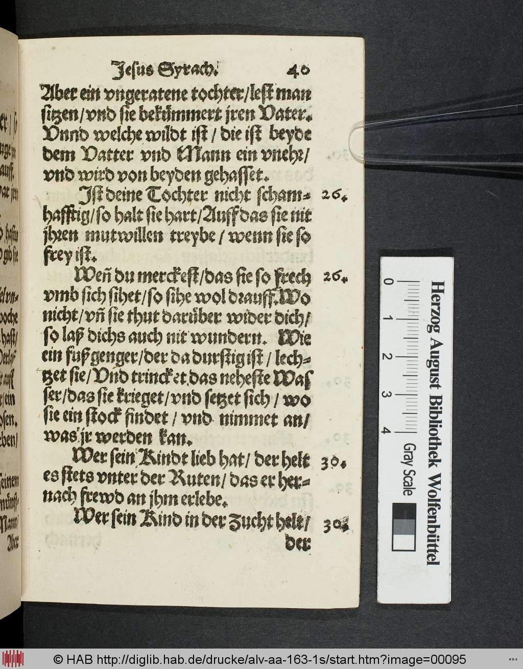 http://diglib.hab.de/drucke/alv-aa-163-1s/00095.jpg