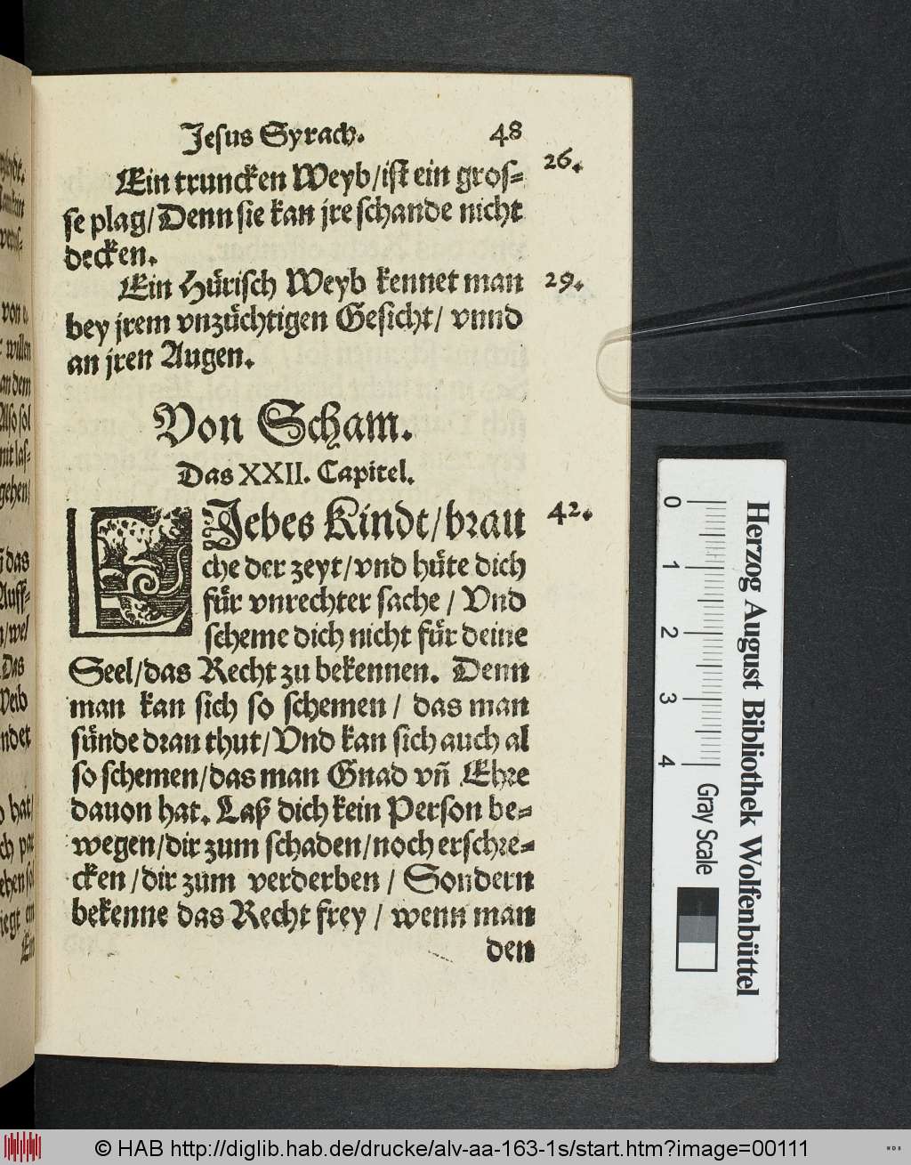 http://diglib.hab.de/drucke/alv-aa-163-1s/00111.jpg