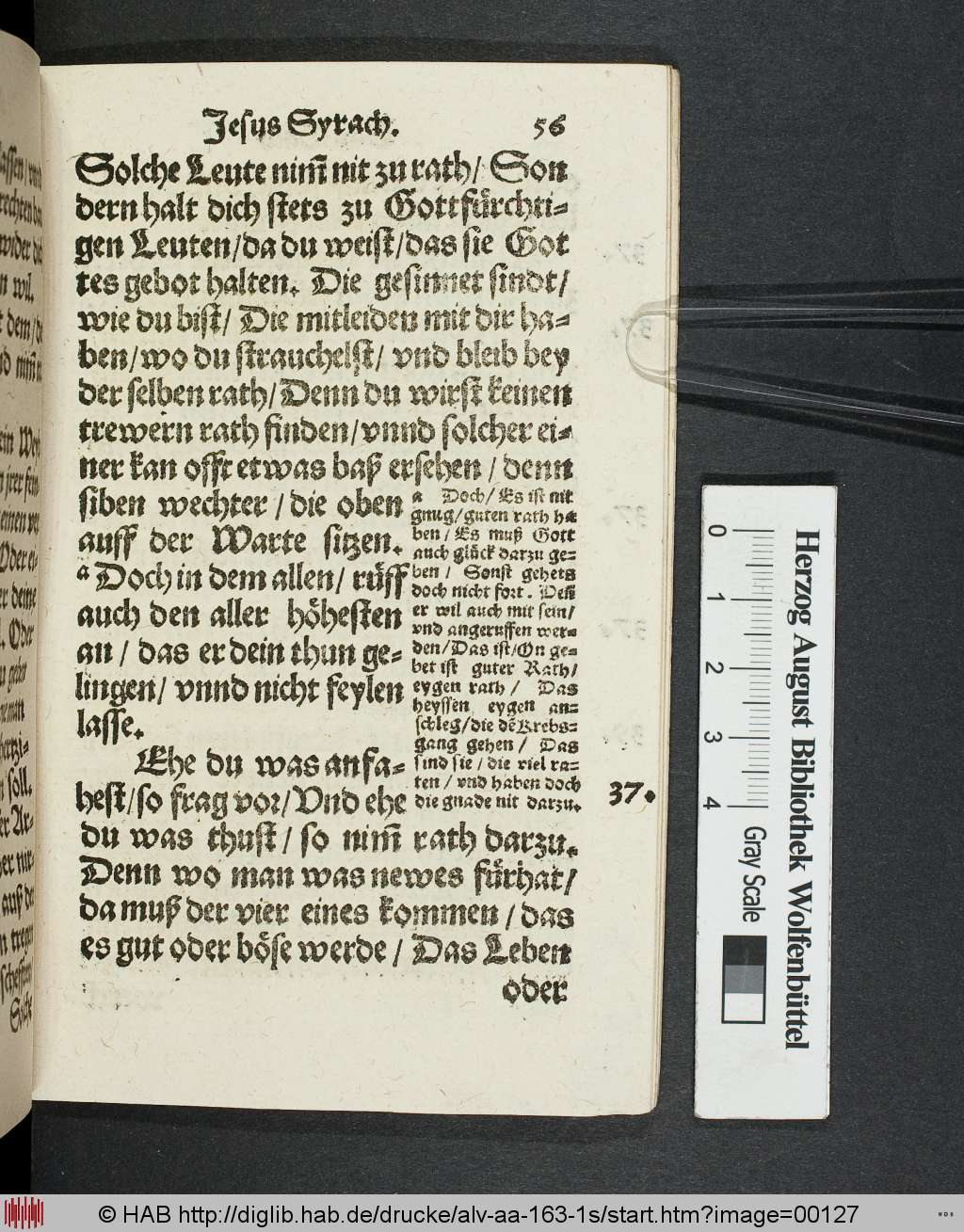 http://diglib.hab.de/drucke/alv-aa-163-1s/00127.jpg