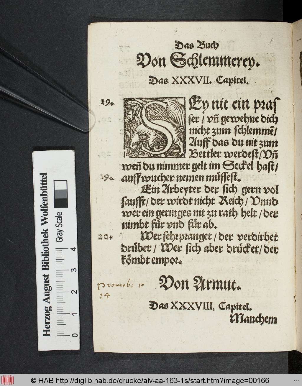 http://diglib.hab.de/drucke/alv-aa-163-1s/00166.jpg