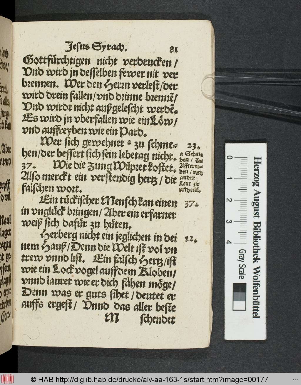 http://diglib.hab.de/drucke/alv-aa-163-1s/00177.jpg