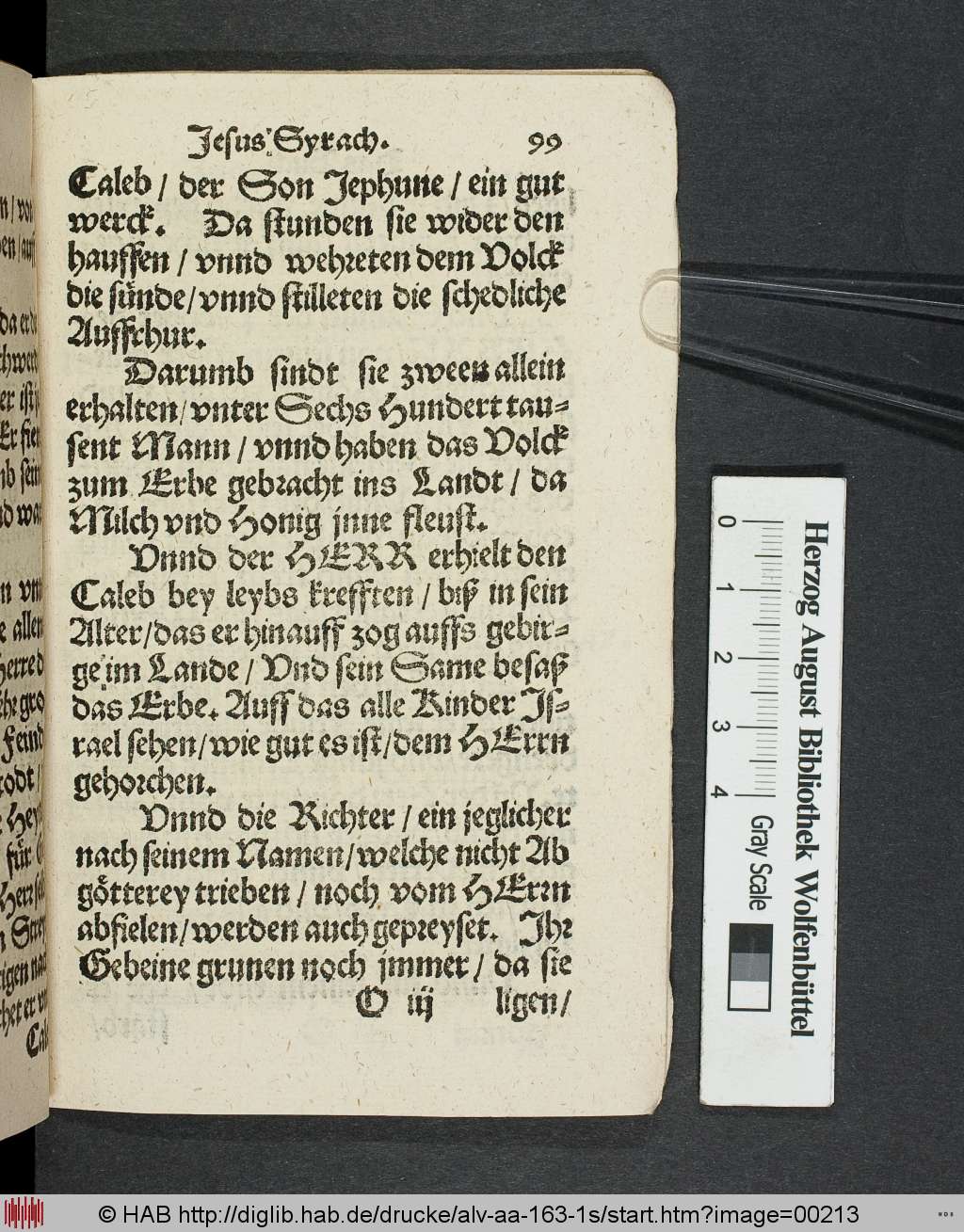 http://diglib.hab.de/drucke/alv-aa-163-1s/00213.jpg