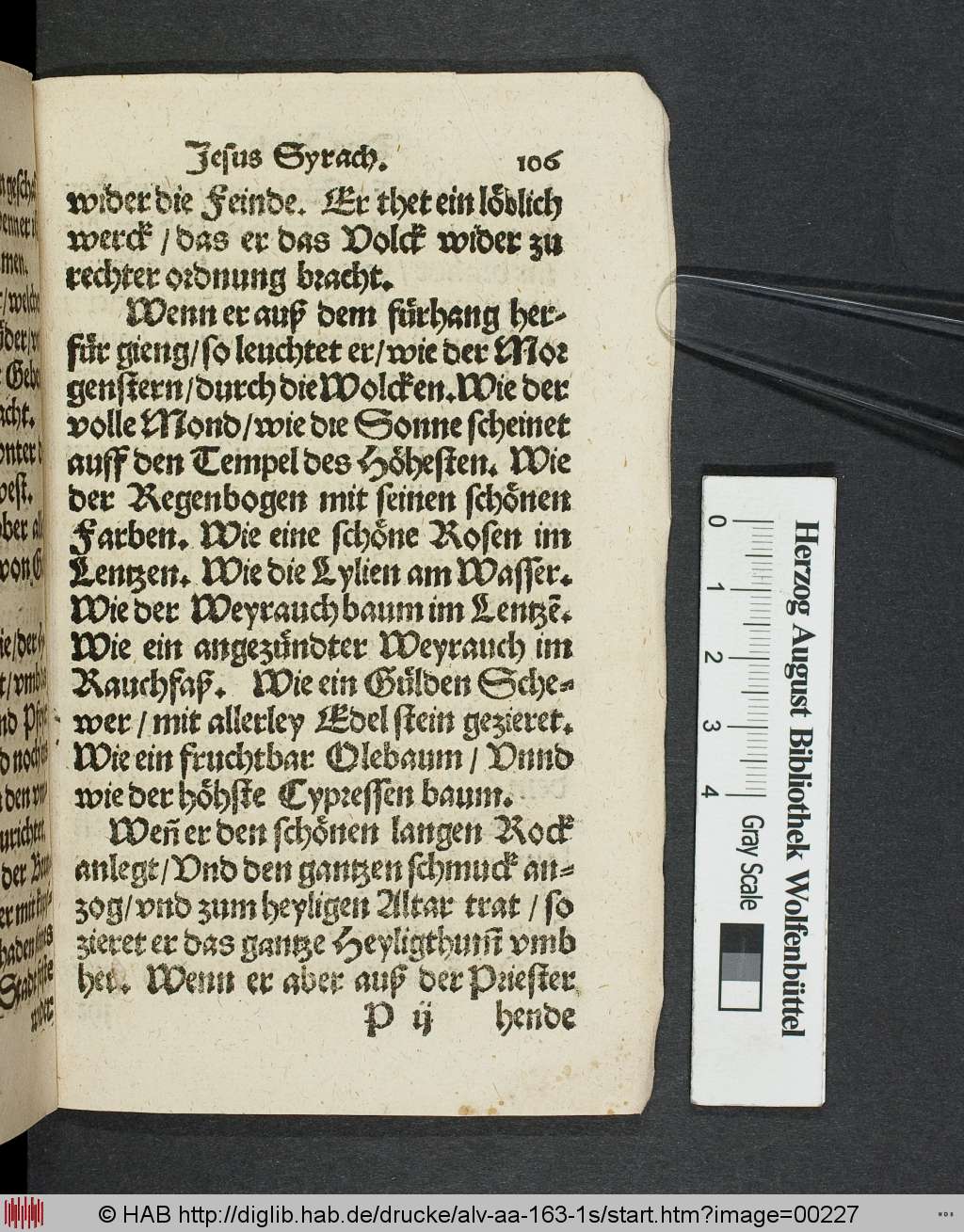 http://diglib.hab.de/drucke/alv-aa-163-1s/00227.jpg