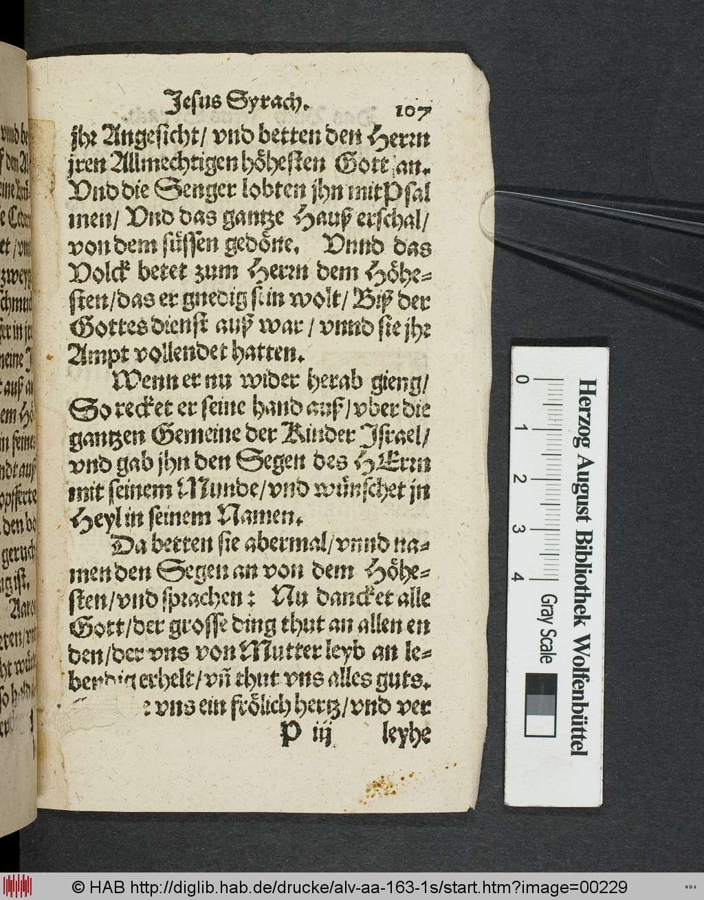 http://diglib.hab.de/drucke/alv-aa-163-1s/00229.jpg