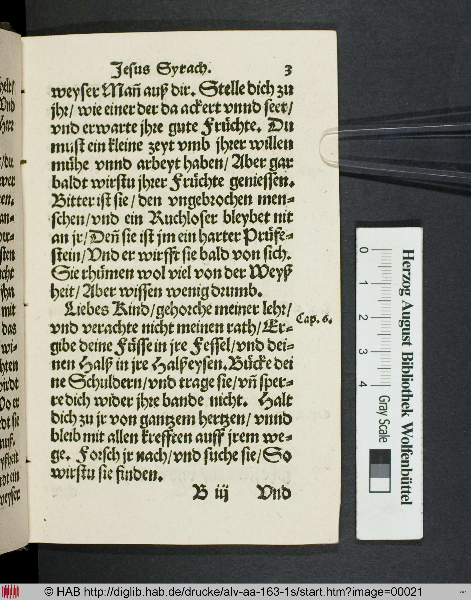 http://diglib.hab.de/drucke/alv-aa-163-1s/max/00021.jpg