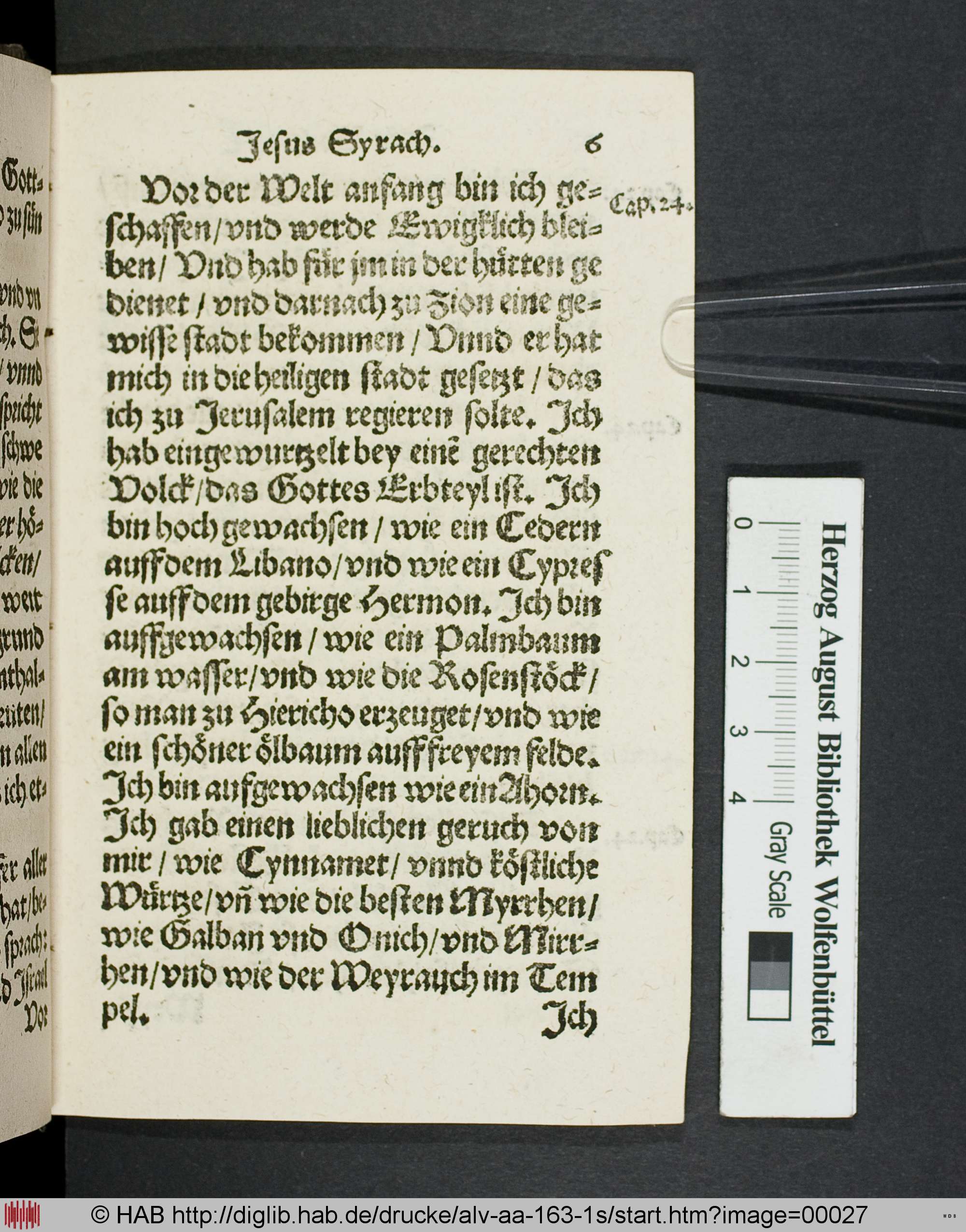 http://diglib.hab.de/drucke/alv-aa-163-1s/max/00027.jpg