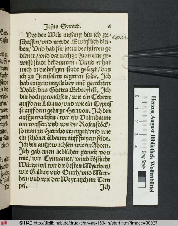 http://diglib.hab.de/drucke/alv-aa-163-1s/min/00027.jpg