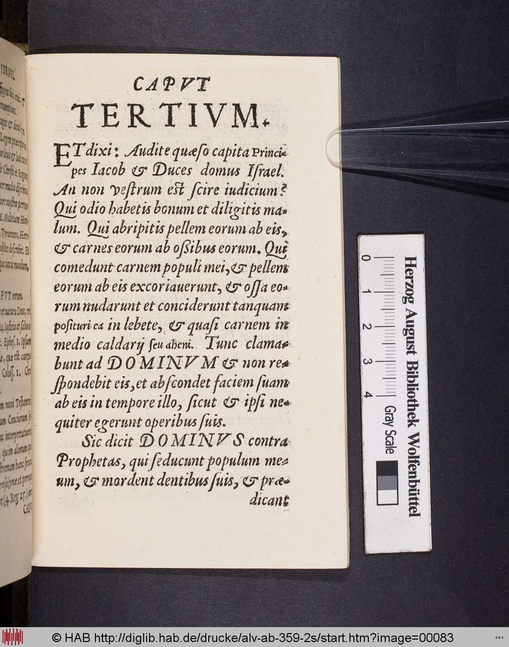 http://diglib.hab.de/drucke/alv-ab-359-2s/00083.jpg