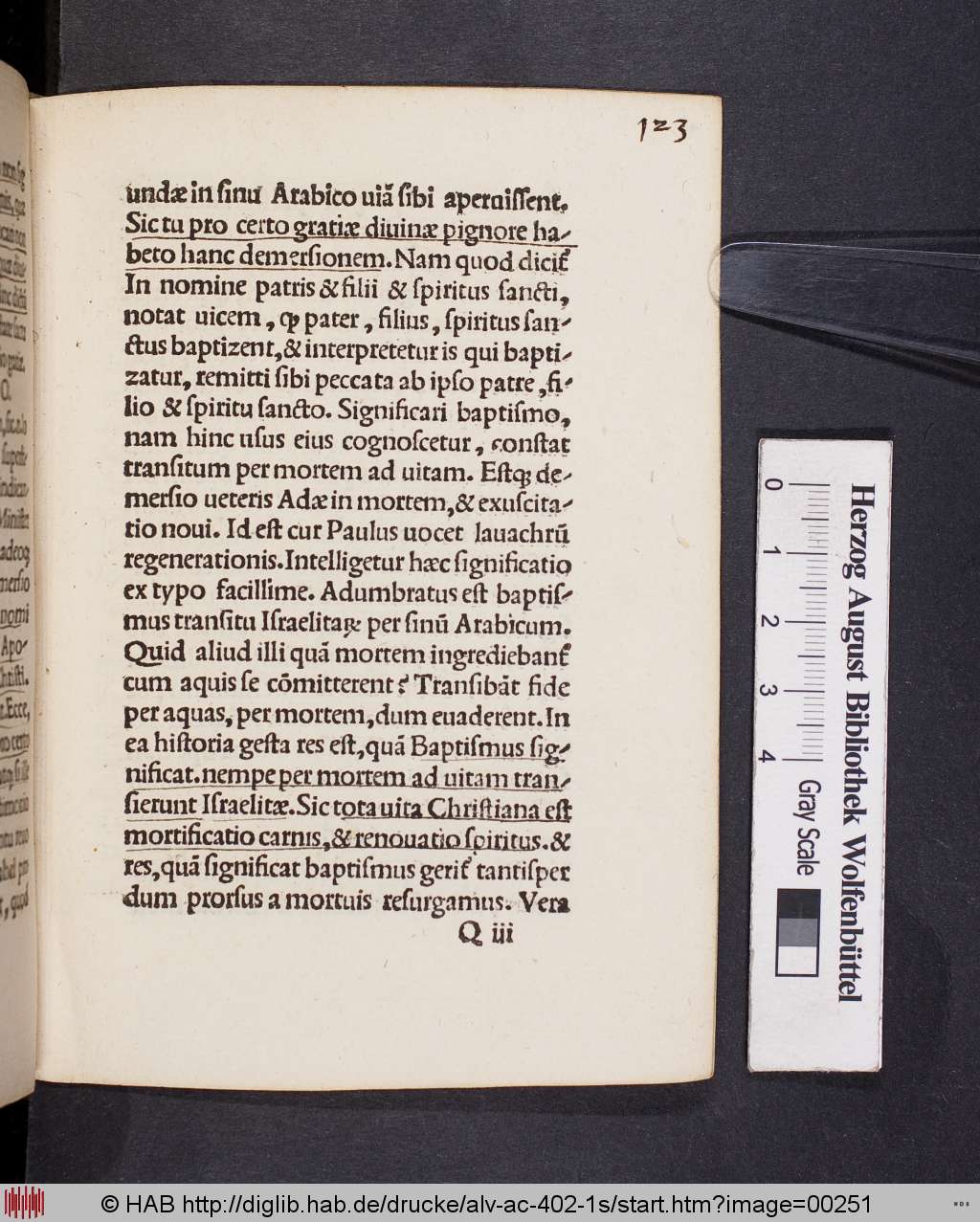 http://diglib.hab.de/drucke/alv-ac-402-1s/00251.jpg