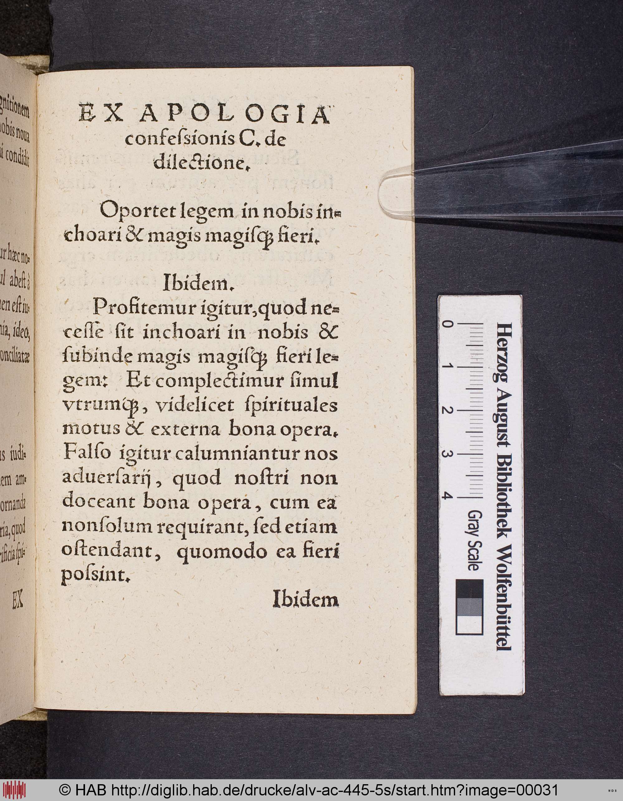 http://diglib.hab.de/drucke/alv-ac-445-5s/max/00031.jpg