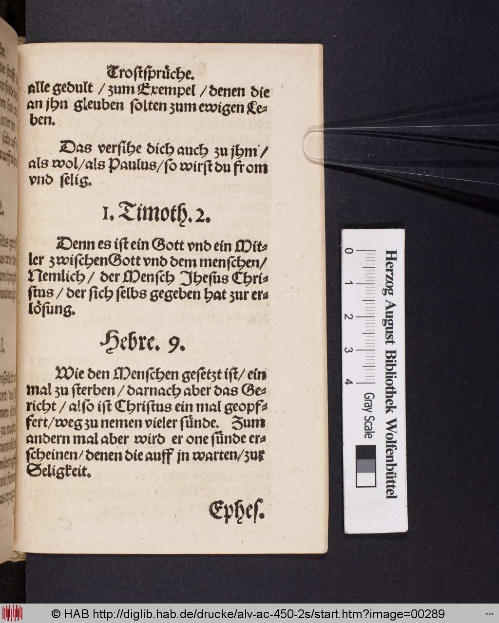http://diglib.hab.de/drucke/alv-ac-450-2s/00289.jpg