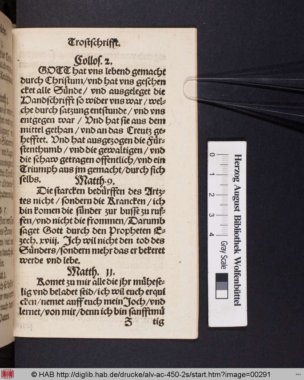 http://diglib.hab.de/drucke/alv-ac-450-2s/00291.jpg