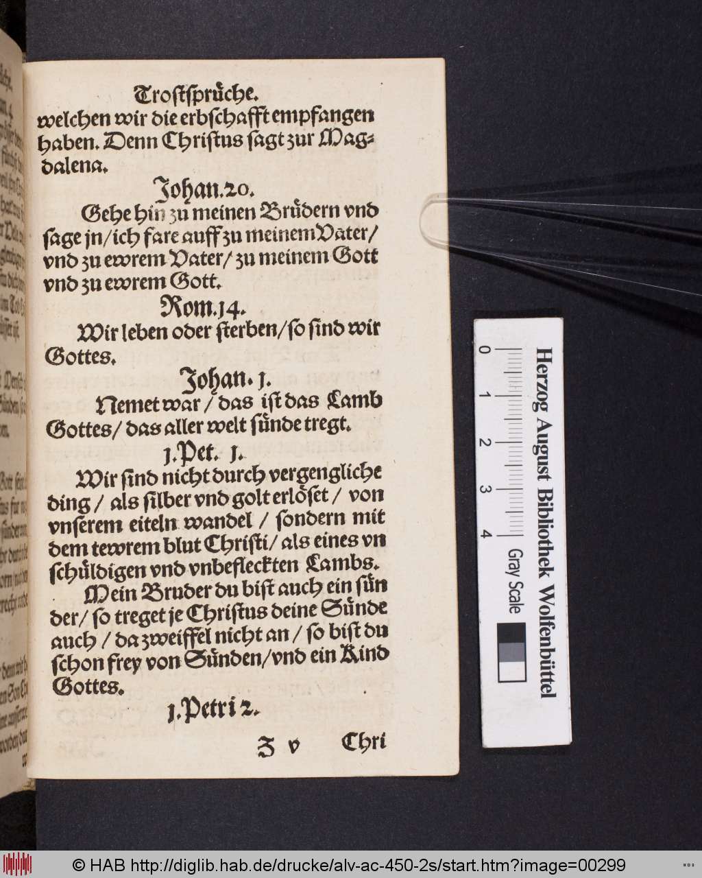 http://diglib.hab.de/drucke/alv-ac-450-2s/00299.jpg