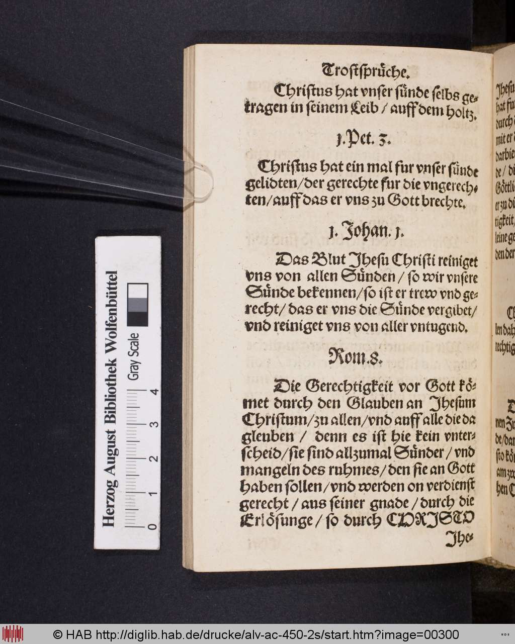 http://diglib.hab.de/drucke/alv-ac-450-2s/00300.jpg
