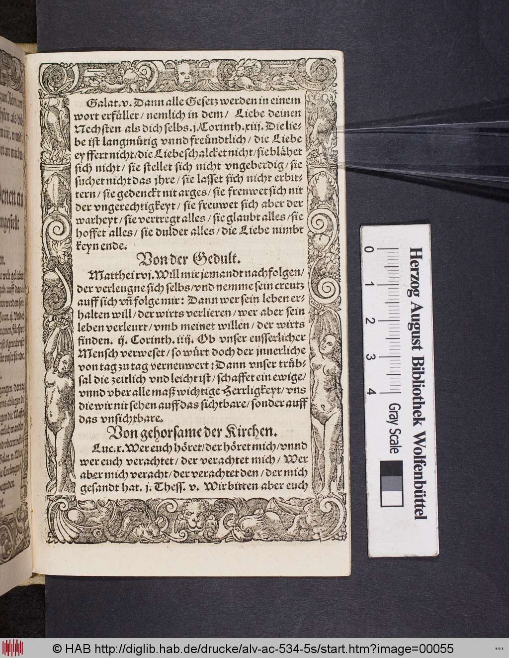 http://diglib.hab.de/drucke/alv-ac-534-5s/00055.jpg