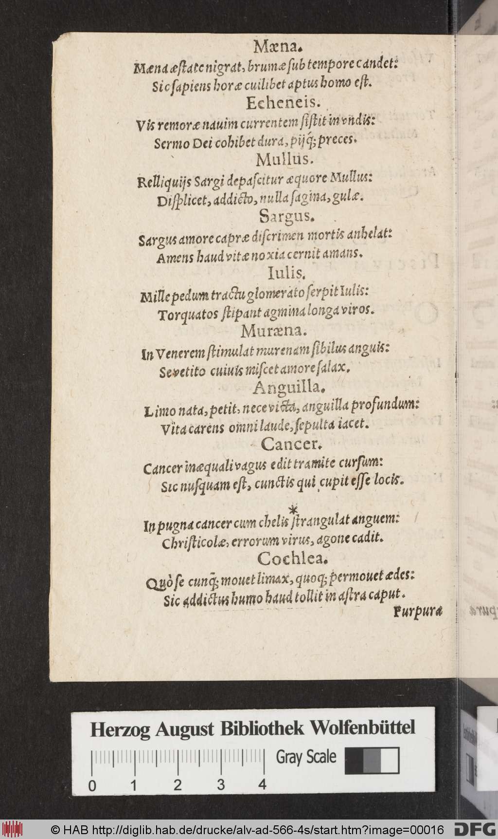 http://diglib.hab.de/drucke/alv-ad-566-4s/00016.jpg